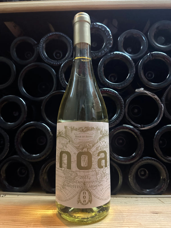 Noa 2023 Blend